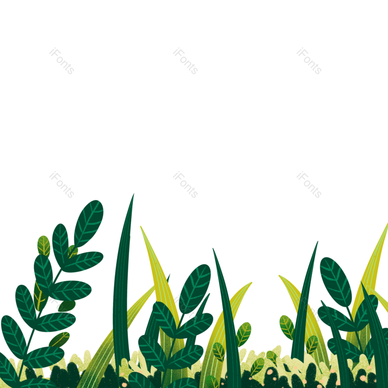 树叶图片,插画叶子元素,绿色边框PNG,免抠素材